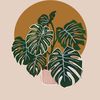 PlantPuff