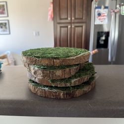 Wooden Slices With Green Moss