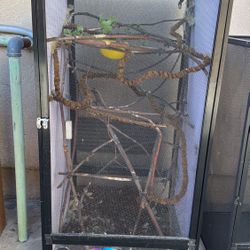 Chameleon Enclosures