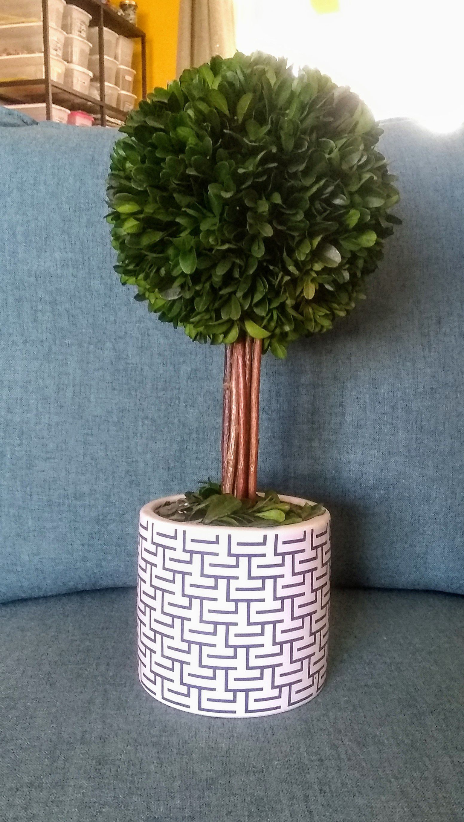 Home Decor Fake Plant in Vase **New**