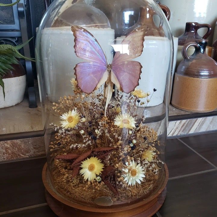 Vintage Large Real Butterfly
Taxidermy Glass Dome Cloche Display
Dried Flowers and Leaves