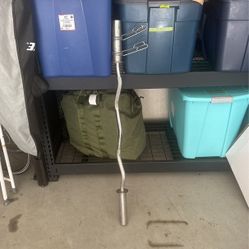 Olympic Curl Bar