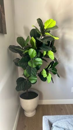 Large Artificial  Tree with Decorative White Floor Vase Planter