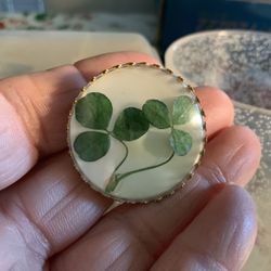 Real Shamrock Brooch 