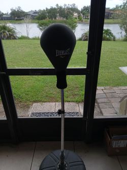 Speed boxing bag
