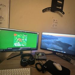 Sceptre & MSI Gaming Monitors