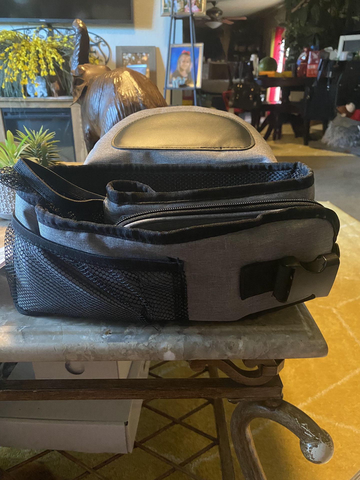 Baby Hip Carrier