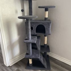Cat House
