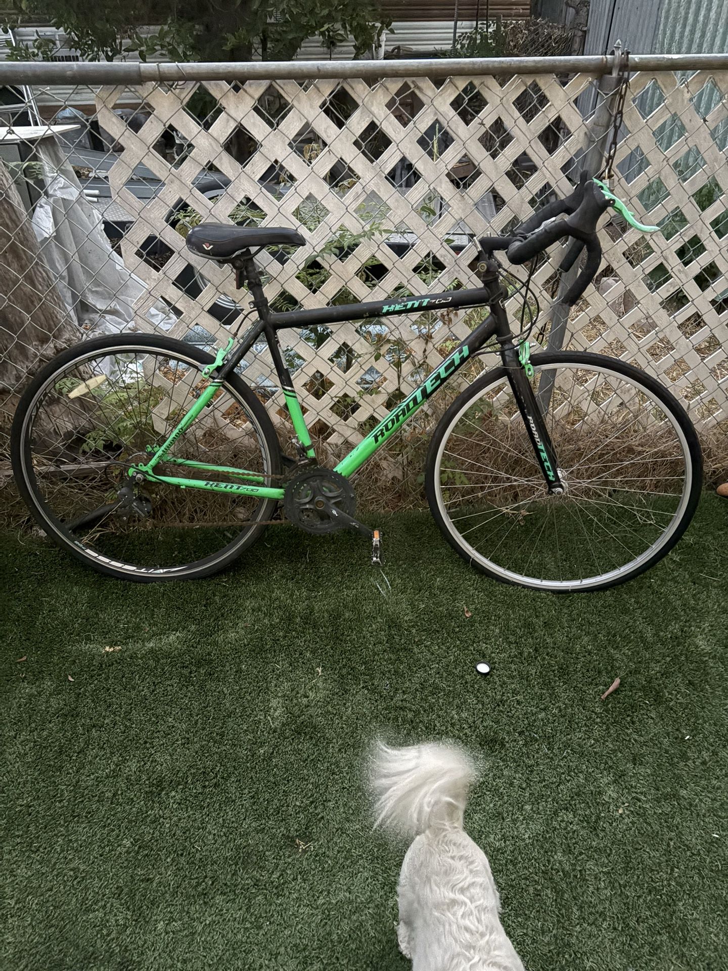 Road Tech Bike