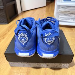 Nike LeBron  Witness 7 TB  Game Royal