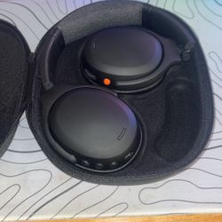 Skull Candy Head Phones 