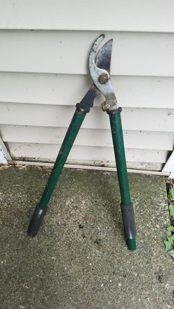 Hedge shears