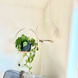 MCM Plant Hangers