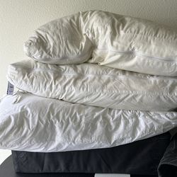 FREE Casper standard pillows