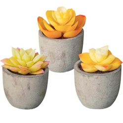 3 Fake Yellow Succlents