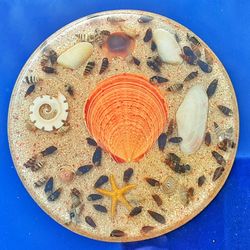 1970s Resin Plastic Seashell & Sand 5.5" D Footed PERFECT Trivet McM Vintage Plastic