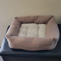 Cat Bed 