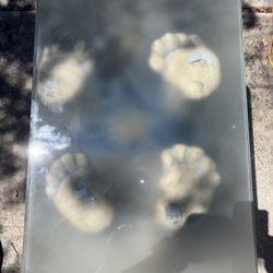 Unique Oski the Bear Ceramic Table