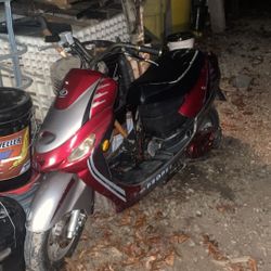 Moped 50 Cc