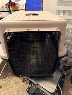 Top Paw Hard-Sided Dog Kennel / Travel Crate + Dog Bed Liner Included