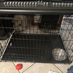 XL Dog Cage Collapses Deltona Pickup