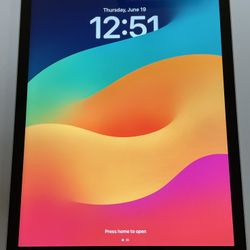 Apple 9th Generation 256gb Silver Tone iPad (Screen Had 2 Scratches)