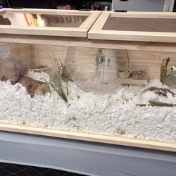 Hamster Cage With Stuff