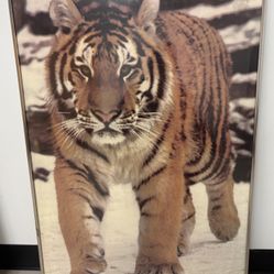 Brilliant Large Vintage Siberian Tiger Wildlife Poster