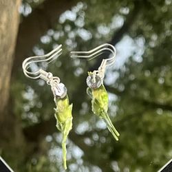 REAL FLOWER EARRINGS 