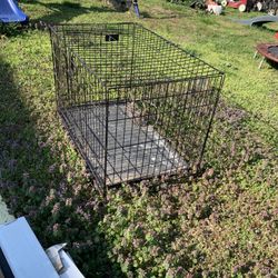 Dog Gauge 3feet  By 2