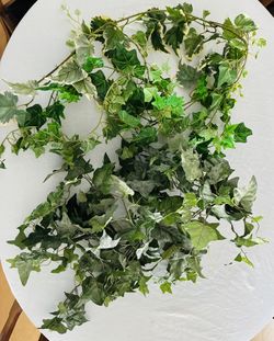 Artificial Ivy Clusters and Strands.