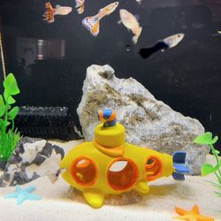 Fish Tank 🐳💦😎🐬🐠🐟