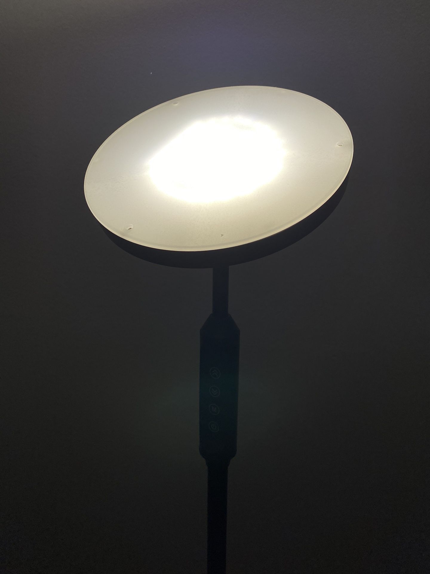 Daylight Floor Lamp