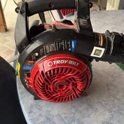 Troy-Bilt 4 Cycle Gas Blower