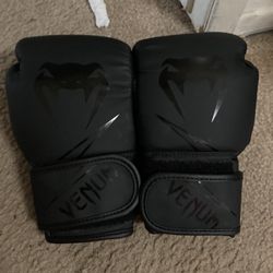 Venum Kid Gloves 8 Oz