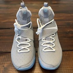 Nike LeBron 14 MAG Basketball Shoes for Sale in Tigard OR OfferUp