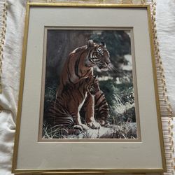 Tiger Art