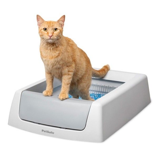 Self Cleaning Litter Box