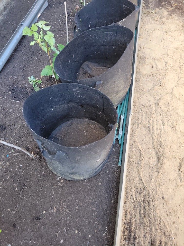 Grow Bags