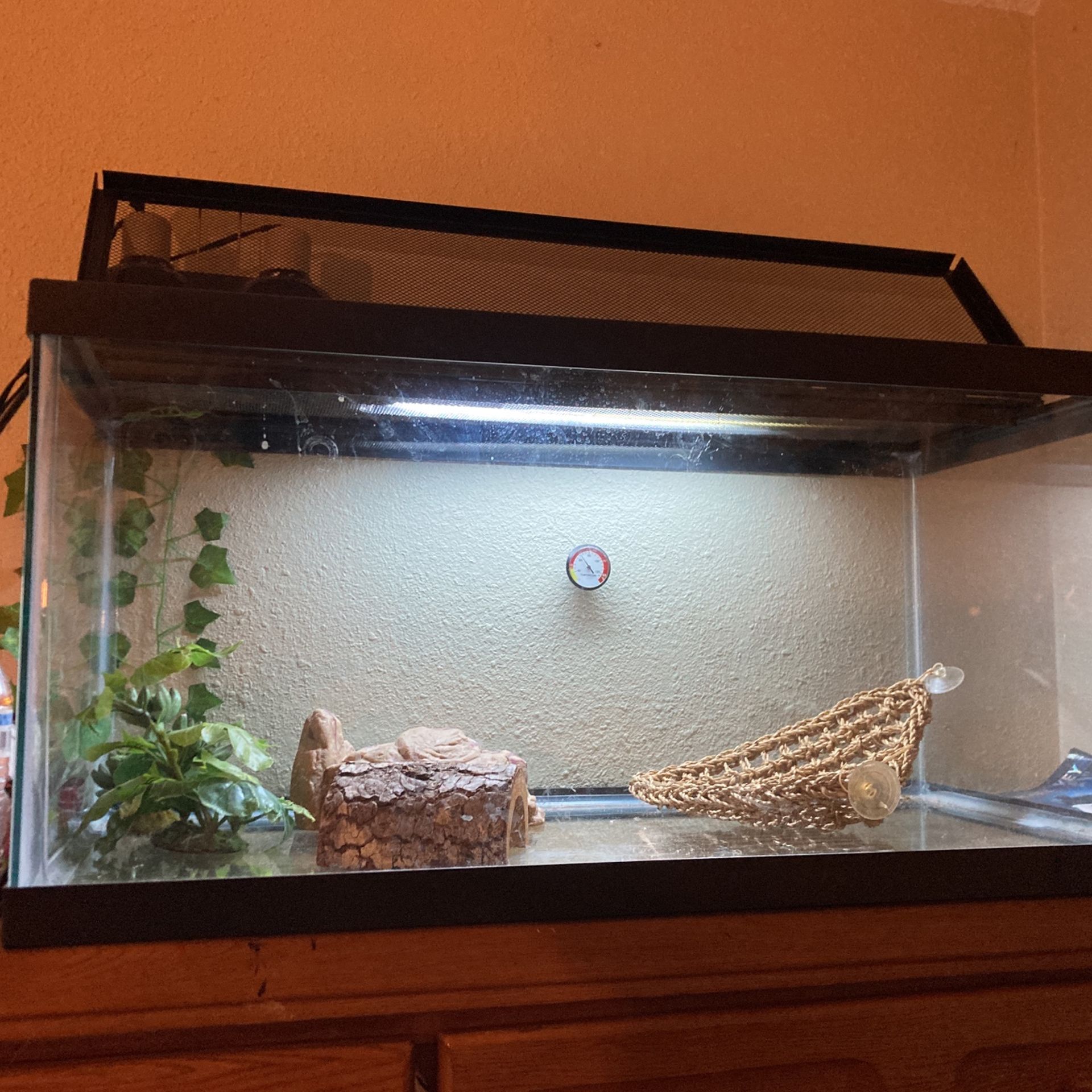 40 Gallon Tank + Decorations For Reptiles 