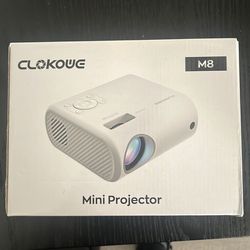 Mini projector