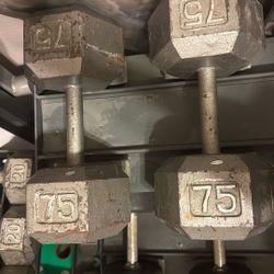 75 lb Pair Iron Hex Dumbbells 150LBS