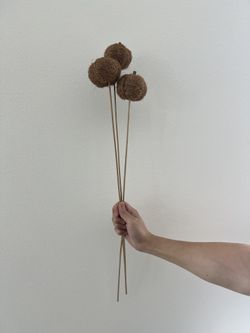 Fall Decor