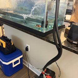 60 GALLON TANK 