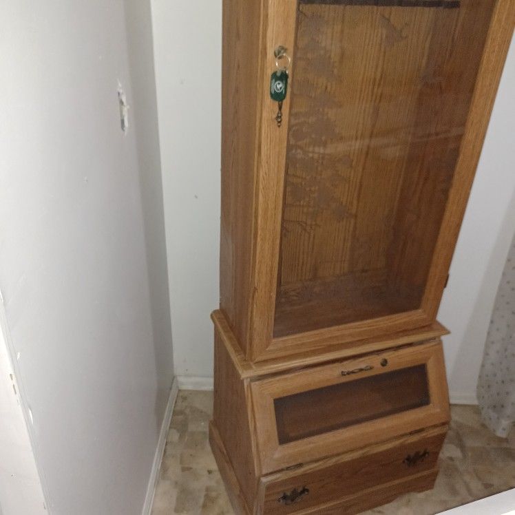 Locking Lighted Gun Cabinet