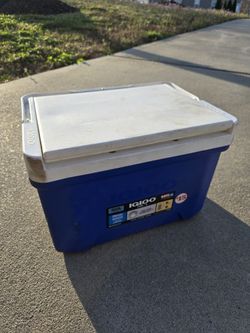 Igloo Cooler