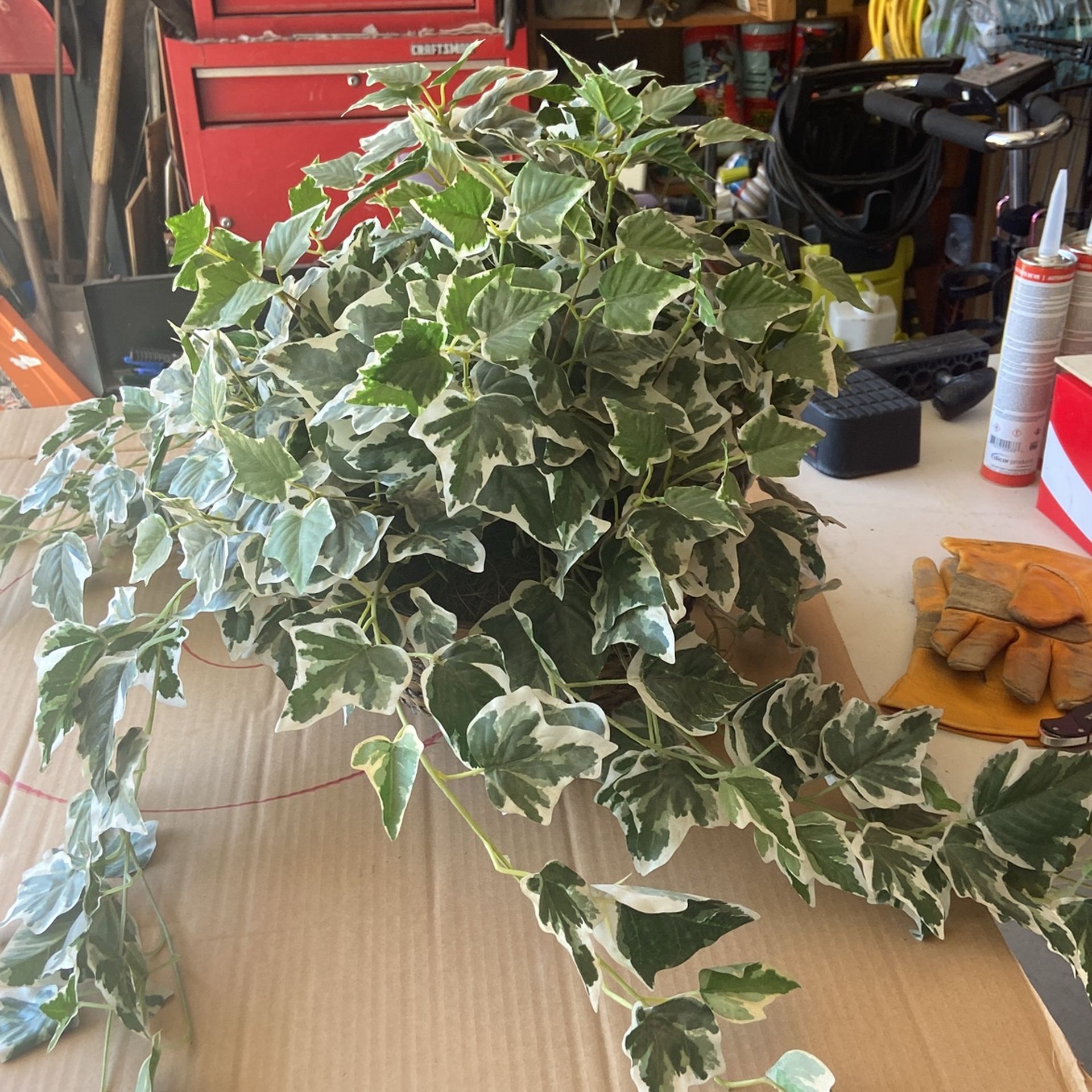 Fake Ivy Plant 🪴 For Decorating