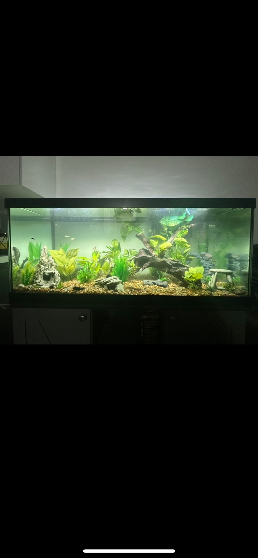 75 Gallon Tank with Stand For Sale! NO FISH! Need Gone ASAP!