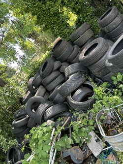Free Tires 