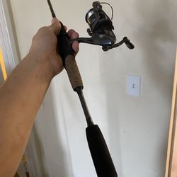 Fishing Pole Rod